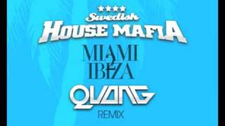 Swedish House Mafia  Miami 2 Ibiza Quang Remix [upl. by Ruelu]