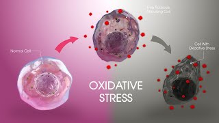 Oxidative stress and its effects on Plant botanyzoom [upl. by Pauline858]