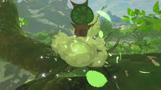 Korok seeds  Dalite Forest  Ridgeland Tower 6063  Zelda BOTW [upl. by Ballman]