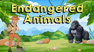 10 Endangered Animals [upl. by Lewan22]