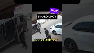 Los chapitos disparan a carro en Sinaloa narcosmexico sinaloa narcos culiacan ejércitomexicano [upl. by Lrac457]