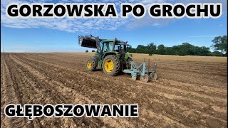 CZY MAŁE GOSPODARSTWA MOGĄ UPRAWIAĆ BEZORKOWO [upl. by Salahi732]