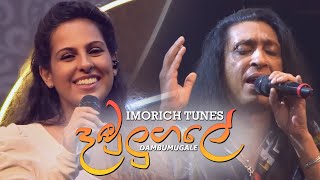 Dambulugale  දඹුලුගලේ   Chitral Somapala  Imorich Tunes [upl. by Zumwalt]