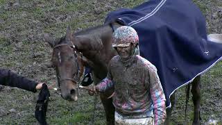 Maienfeld  13102024  PFERDERENNEN IN MAIENFELD BAD RAGAZ Highlights of the day [upl. by Anirres]