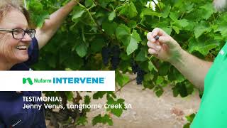 Nufarm Intervene Jenny Venus experience in vines [upl. by Zednanref]