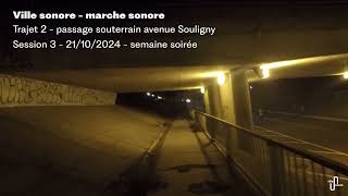 Marche sonore  passage souterrain avenue souligny [upl. by Leirrad]