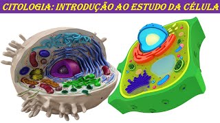 CITOLOGIA INTRODUÇÃO AO ESTUDO DA CÉLULA [upl. by Ahsilac]