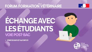 Conférence FFVET24 Échange avec les étudiants voie POST BAC [upl. by Bor310]