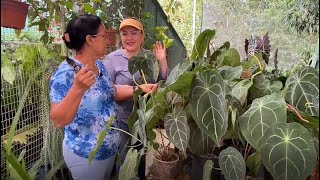 Vivero de Orquídeas bromelias y Plantas Exóticas [upl. by Stanfield]