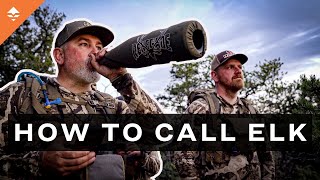 StepByStep Guide To Elk Calling  with Dirk Durham [upl. by Morganne]