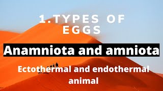 types of eggs in animals extraembryonic membrane poikilothermic and homoiothermous animal [upl. by Tena]