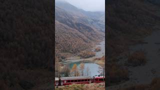 Il trenino rosso del Bernina treno regionale o treno express [upl. by Adao234]