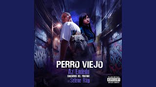 Perro Viejo [upl. by Stranger305]