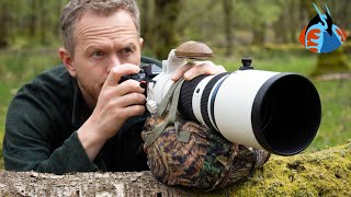 Expandable Beanbags for Wildlife Photography  Tragopan [upl. by Maxentia]