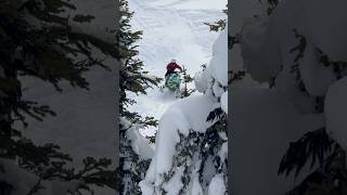 THE REVY STEP UP😎🤘🏻sledding sledrevelstoke revelstoke stepup jumping [upl. by Darryl]