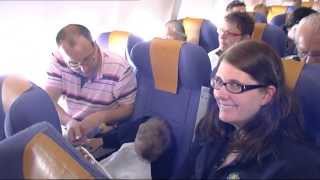 CondorTV Flugbegleiterausbildung bei Condor Coachingflug Teil 4 [upl. by Clement]