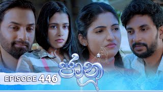 Jaanu  Episode 446  20241108  ITN [upl. by Rory]