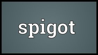 Spigot Meaning [upl. by Enihpesoj]