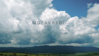 MGZAVREBI — Vazi Official Music Video [upl. by Retha]