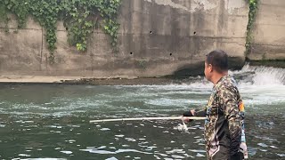 Hunting many fish using snagging [upl. by Helve273]