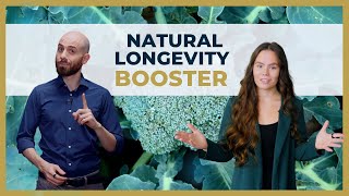 Longevity amp Sulforaphane WHY You Need This Molecule Natural amp Supplement  Beyond Sapiens [upl. by Nnybor779]