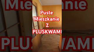 Puste mieszkanie a pluskwy dalej są mgr Łukasz Bula  Zwalczanie Pluskiew [upl. by Orson]