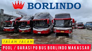 HUNTING PERWAKILAN PO BUS BORLINDO MAKASSAR‼️BANYAK BUS PREMIUM DAN MEWAH [upl. by Vaientina]