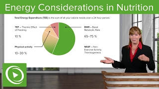 Energy Considerations in Nutrition BMR RMR amp Physical Activity – Nutrition  Lecturio [upl. by Acinomal]