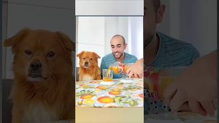 Prank 😂 with dog 🐕 funny 😂🤣 video viralvideos shorts [upl. by Meldoh832]