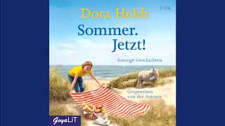 Dora Heldt Sommer Jetzt  Hörbuch [upl. by Columbyne578]