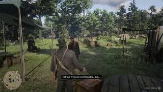 Red Dead Redemption 2 LOW HONOR RUN [upl. by Hsizan]