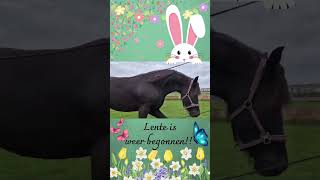 frozen horse paard pony equestrian stal vlog vlogger horsevlog happy spring [upl. by Nossah]