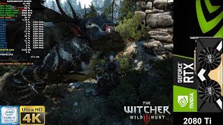 The Witcher 3 Maximum Settings 4K  RTX 2080 Ti  i7 8700K 53GHz [upl. by Noivart]