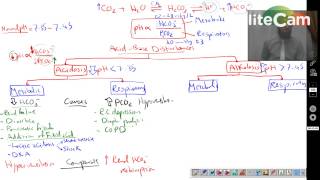 Acid Base 3 Disturbances [upl. by Ylen245]