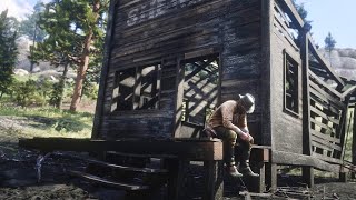 Red Dead Redemption 2 What to do at the start of Chapter 2 collecting the Limpany gold bar [upl. by Naitsirhk]