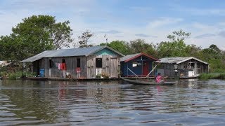 VEJA COMO É A VIDA RIBEIRINHA NA AMAZÔNIA  EM HD [upl. by Ihsar]