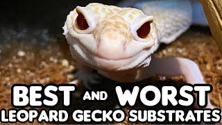 BEST and WORST Leopard Gecko Substrates [upl. by Felicio]