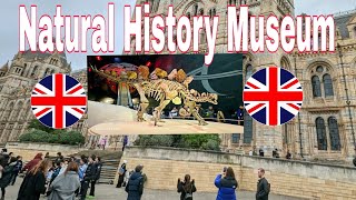 LondonUK🇬🇧Museum Walk Natural History Museum LondonCromwell RdSouth KensingtonLondon SW7 [upl. by Ydoow741]