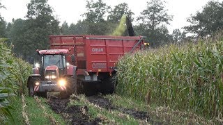 Mais hakselen  Loonbedrijf Zandman in de modder met hun nieuwe DEWA aangedreven silagewagens 2019 [upl. by Terence]