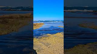 Warrnambool Victoria Australia beach short samsungs23ultra beach australia victoria waves [upl. by Youngman879]