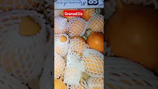 Granadilla fruits fresh youtubeshort പാഷൻ ഫ്രൂട്ട്സ് [upl. by Lilak876]