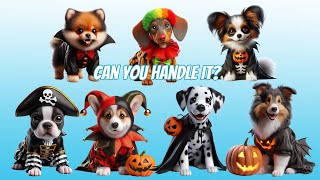 Can You Handle it Cutest Puppies All Dressed Up For Halloween [upl. by Letreece784]