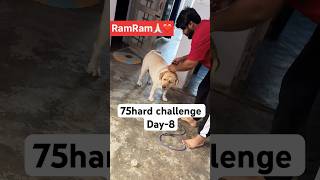 Day8 Medicine 😢😫 75hardchallenge sick trending labrador petparents doglover family [upl. by Selmner181]