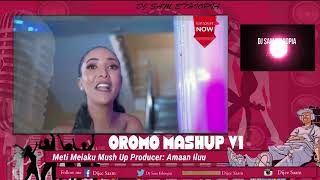 Best Oromo Mashup Music l Nonstop l hawitemam7327 l Best Oromo Music ZabiidaaShaShaampVarious Artists [upl. by Arbmahs]