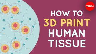 How to 3D print human tissue  Taneka Jones [upl. by Gino]