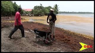 Sargassum Conference [upl. by Ahseital]