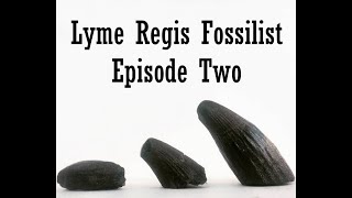 Fossil Hunting at Lyme Regis 2021 Episode 2 [upl. by Schmidt351]