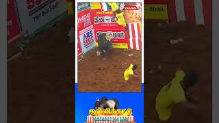 quotதங்கம் மோதிரம் பரிசுquotshorts jallikattu shortsfeed [upl. by Etakyram]