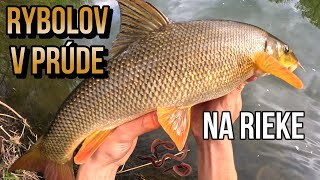 Lov Riečnych Rýb na Červy 🪱🐋 Jarný Feeder v prúde na rieke řece Váh 🎣 rybolov s Demexom [upl. by Linder]