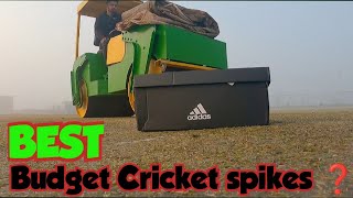 best budget cricket shoes you can buy under 5000  adidas cricket spikes  eym cricket [upl. by Rici892]